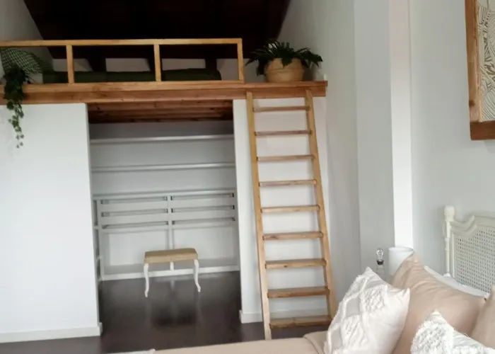 Alegre Ла-Фреснеда